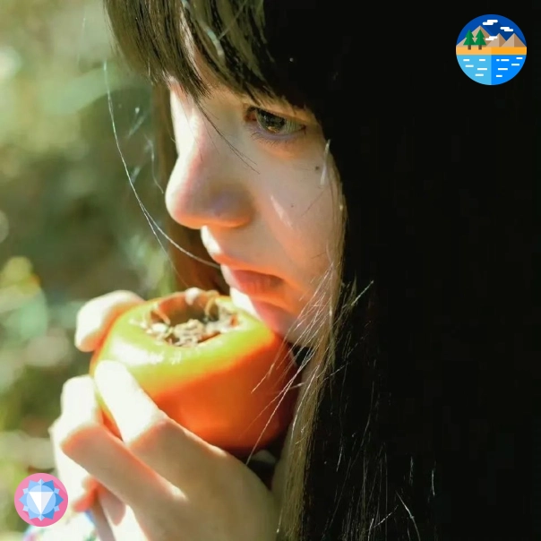 陈杰先生